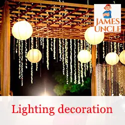 Lighting decoration Mr. Alok Bose in Madhyamgram